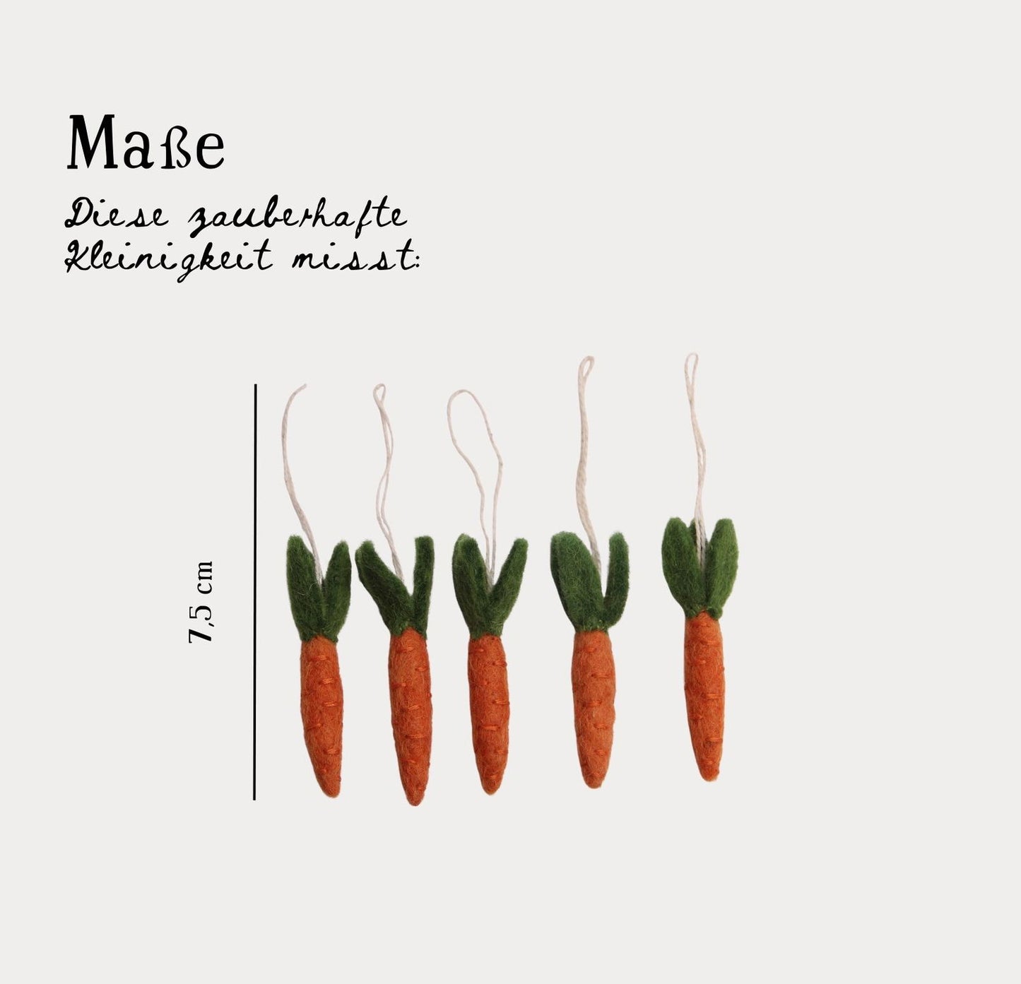 Karotten – 5er-Set