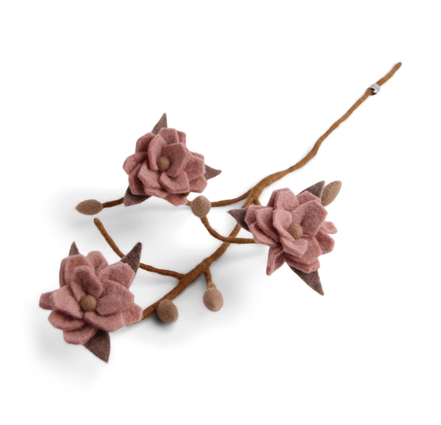 Magnolienzweig mit altrosa Blüten