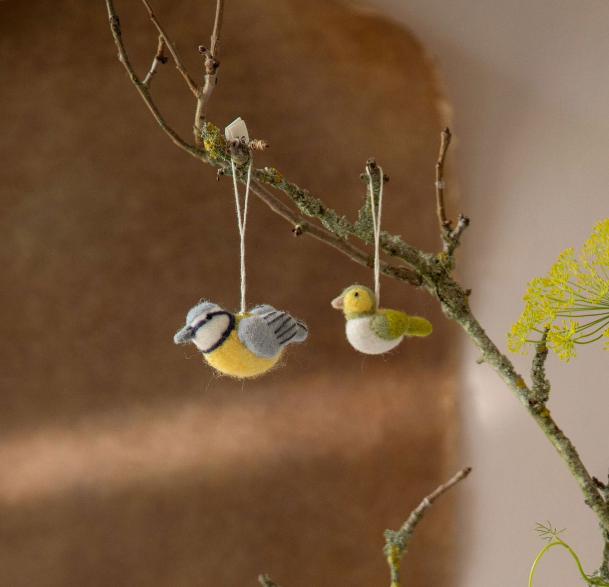 Birds