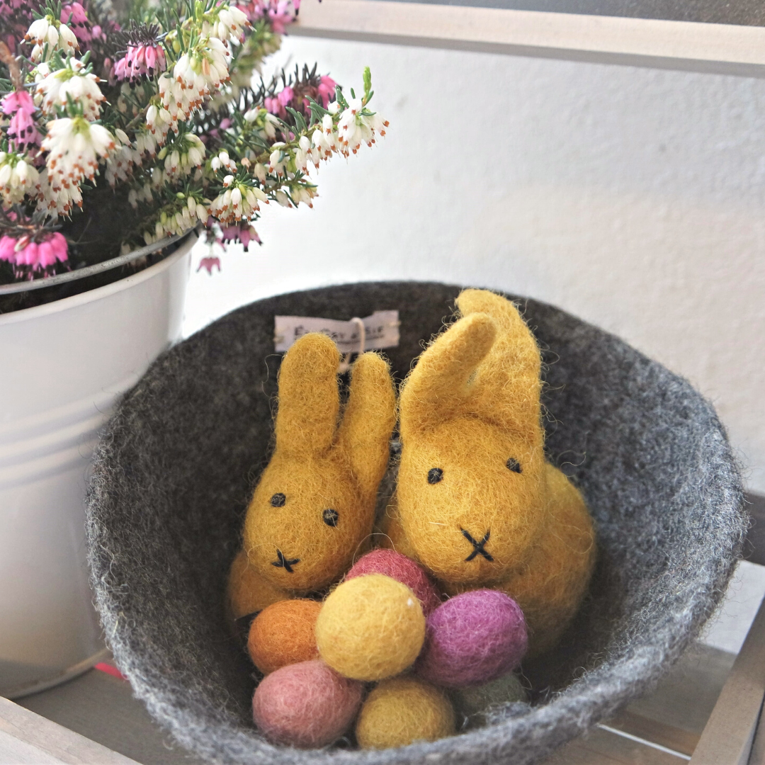 Bunny Family