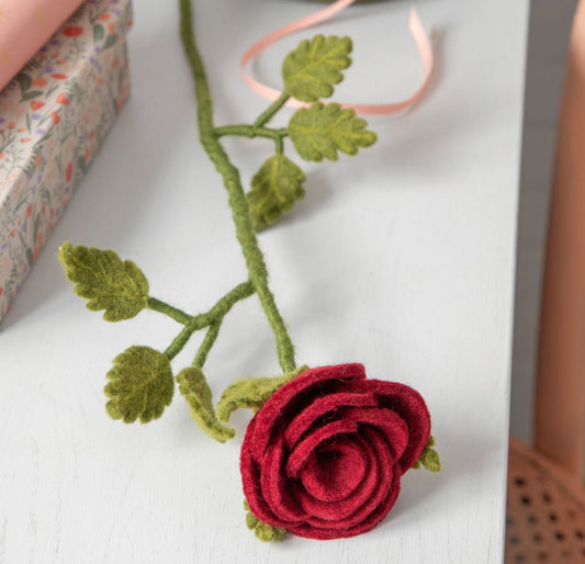 Lange rote Rose