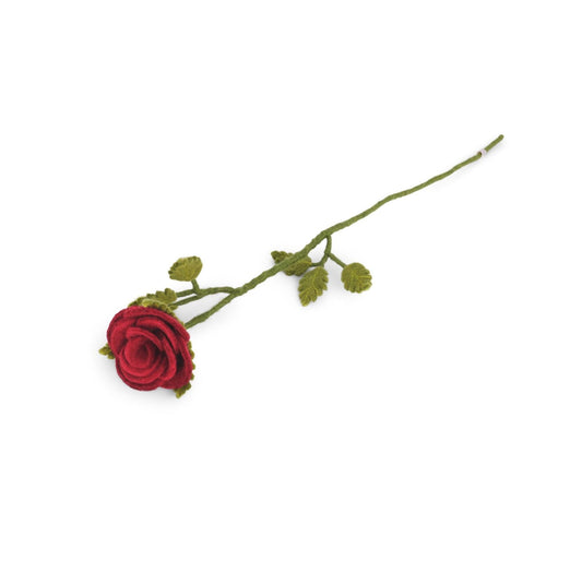Lange rote Rose