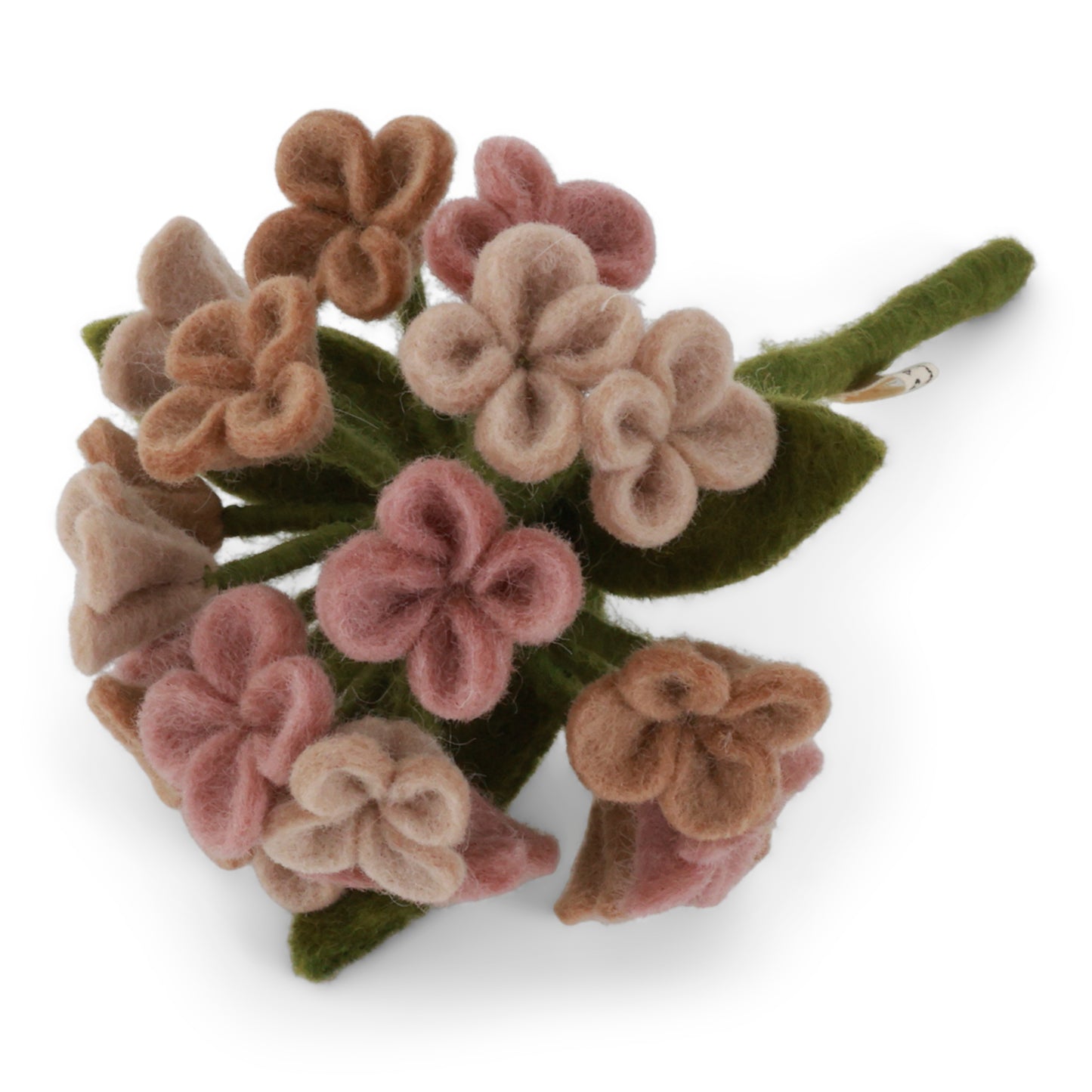 Hortensie – 20/40 cm - Blassblau/Blassrosa