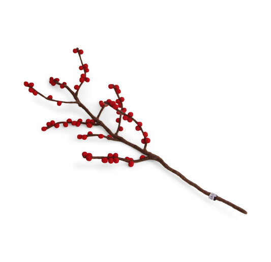 Zweig mit roten Beeren