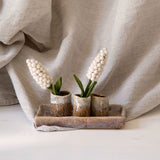 White Felt Hyacinths – Set of 3