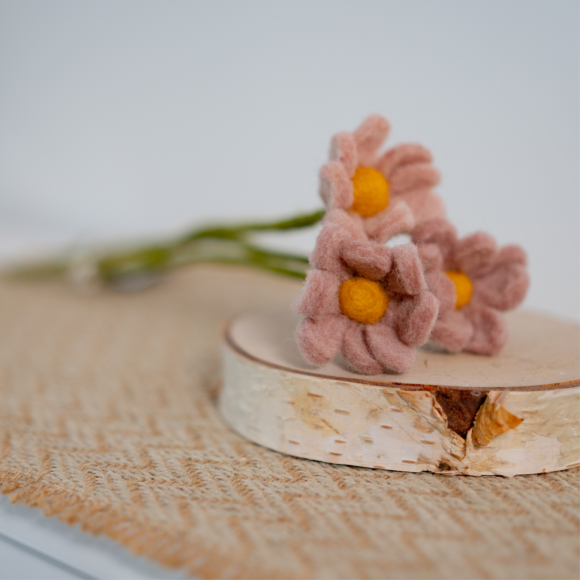 Gry & Sif handgefilzte Rosa – Filzlig Set, 3er Kunstblume Margerite Anemone
